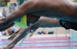 meeting natation 2017