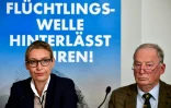 Les têtes de liste du parti anti-immigration AfD Alexander Gauland et Alice Weidel, à Berlin le 18 septembre 2017