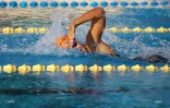 natation 