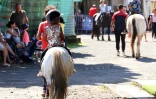 Foire agricole de Bras Panon 