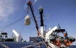 Contre une pêche "destructrice", Greenpeace largue des blocs de pierre en mer dans la Manche
