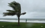 cyclone Dumazile