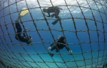 réparation filet anti requins Boucan
