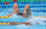 meeting natation 2015