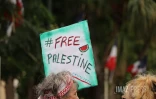 manifestation 1er mai 2024