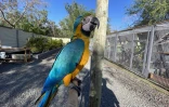 ZOO Etang-Salé