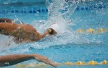 meeting natation 2017