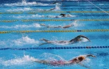 natation qualif 2017