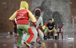 canne de combat 2016