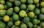 Fruits et légumes