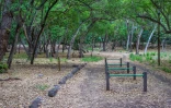 Sentier pédestre 