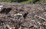 ramassage déchets après le cyclone 
