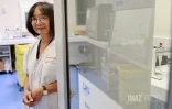  chikungunya analyse sang 