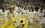 Teddy Riner judo