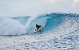 Surf