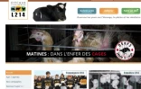 Une vidéo dénonce les conditions d'élevage de poules pondeuses dans l'Ain