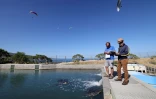 Tortues Kélonia