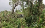 Garance : La Réunion, l'île en phase de sauvegarde