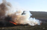 Feu du Maïdo