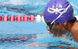 Natation