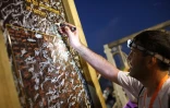 Grand raid 2012 