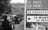 manifestation planteurs 