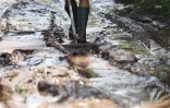 ravine en crue 