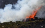 Feu du Maïdo