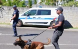 Domenjod : les forces de lâordre intensifient la lutte contre les trafics et les jets de colis dans la cour de la prison
