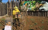 manifestation zoo étang salé extinction rebellion 3 juillet 2021