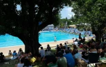 meeting natation 2017