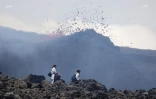 volcan février  2019
