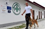 Un malinois entraîné à la recherche de mines avec son maître au centre de dressage global de l'Aide populaire norvégienne (APN), le 20 septembre 2020, près de Sarajevo, en Bosnie