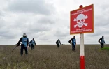 Des démineurs de l'ONG Halo dans un champ du village de Ievguenivka, dans la région de Mykolaïv, le 9 avril 2023 en Ukraine
