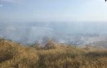 Les Avirons: Incendie la lisière de la forêt domaniale 