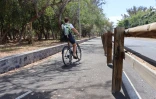 Sentier pédestre 