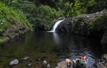 Cascade Délice
