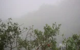 météo, brouillard