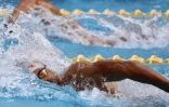Natation