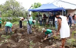 plantation 500 arbres ALEFPA Département
