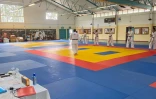 Plus de 160 karatékas réunis pour le passage départemental de grades de la KWF France Réunion