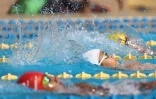 Championnat de natation de La Réunion