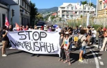 Saint-Denis - Manifestation contre l'opération Wuambushu à Mayotte 
