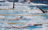 meeting championnat de la reunion 2018