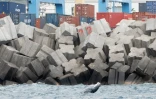 Globice