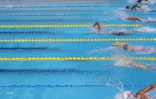 natation qualif 2017