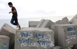 Attaque de requin au Port