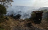 Les Avirons: Incendie la lisière de la forêt domaniale 