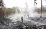 Feu du Maïdo