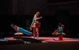 Le gala de gymnastique du Port fait le show